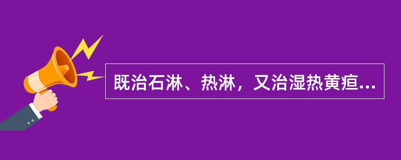 既治石淋、热淋，又治湿热黄疸的药物是