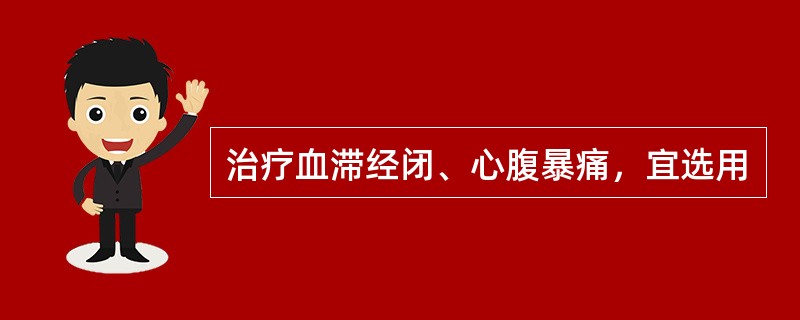 治疗血滞经闭、心腹暴痛，宜选用