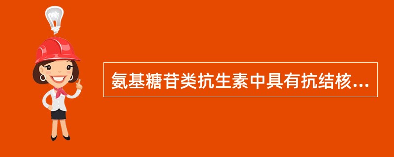 氨基糖苷类抗生素中具有抗结核作用的是