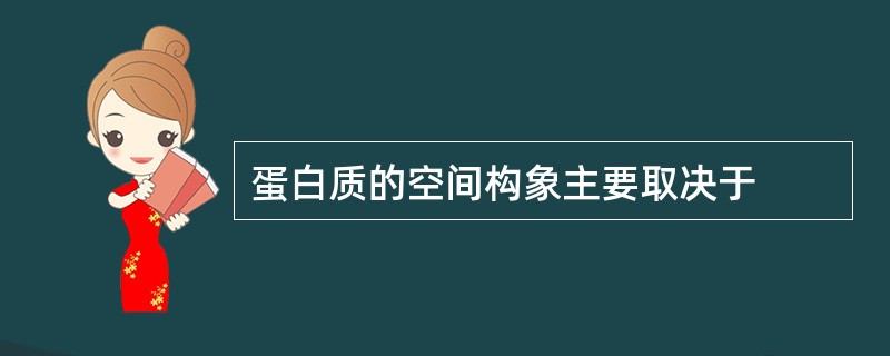 蛋白质的空间构象主要取决于