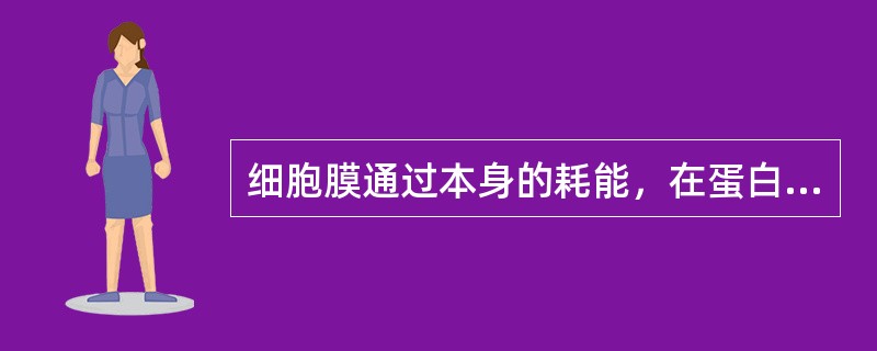 细胞膜通过本身的耗能，在蛋白质的帮助下，使物质由膜的低浓度侧向高浓度一侧转运的过程，称