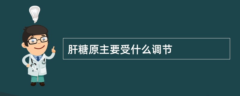 肝糖原主要受什么调节