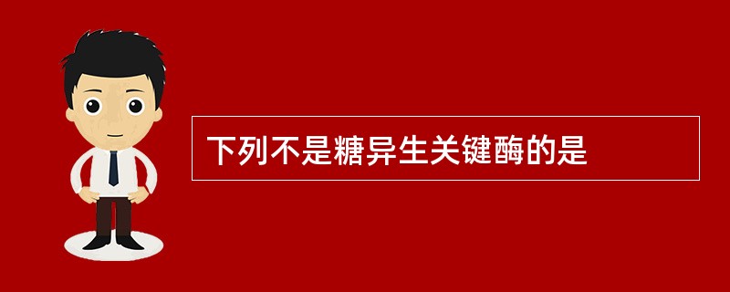 下列不是糖异生关键酶的是