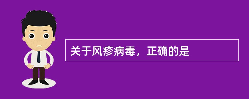 关于风疹病毒，正确的是