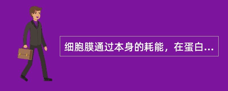 细胞膜通过本身的耗能，在蛋白质的帮助下，使物质由膜的低浓度侧向高浓度一侧转运的过程，称