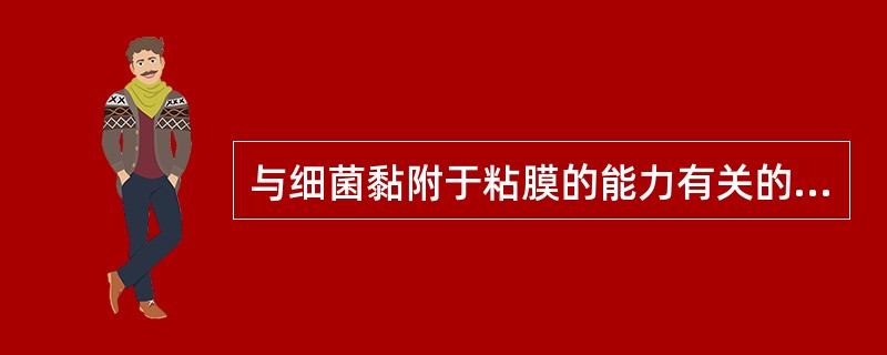 与细菌黏附于粘膜的能力有关的结构是
