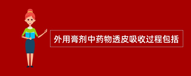 外用膏剂中药物透皮吸收过程包括