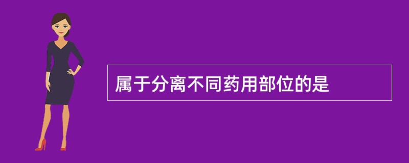 属于分离不同药用部位的是