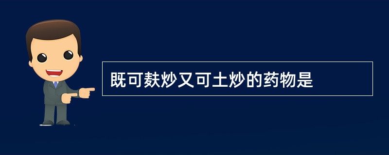 既可麸炒又可土炒的药物是