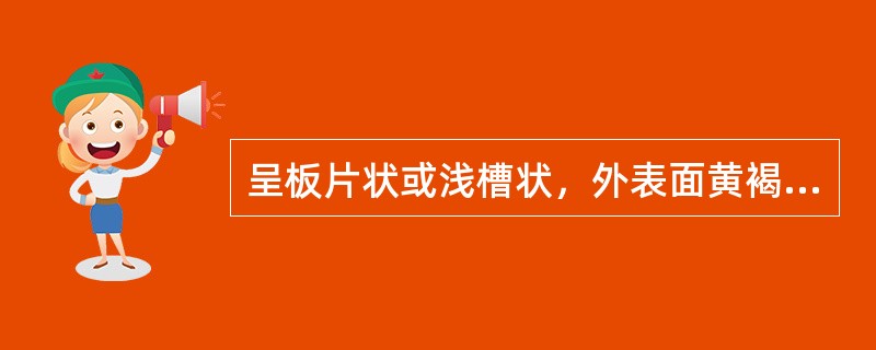 呈板片状或浅槽状，外表面黄褐色或黄棕色，内表面暗黄色或淡棕黄色。断面深黄色，纤维性，气微，味苦的药材是