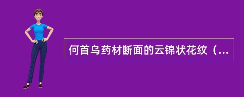 何首乌药材断面的云锦状花纹（异常维管束）存在的位置是