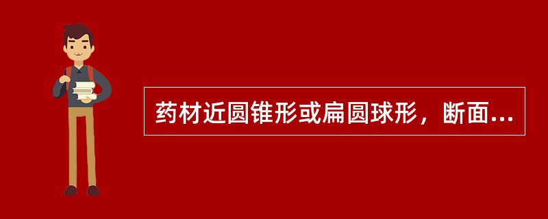 药材近圆锥形或扁圆球形，断面呈棕白相间的大理石样花纹的药材是