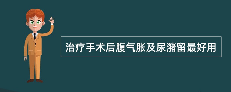 治疗手术后腹气胀及尿潴留最好用