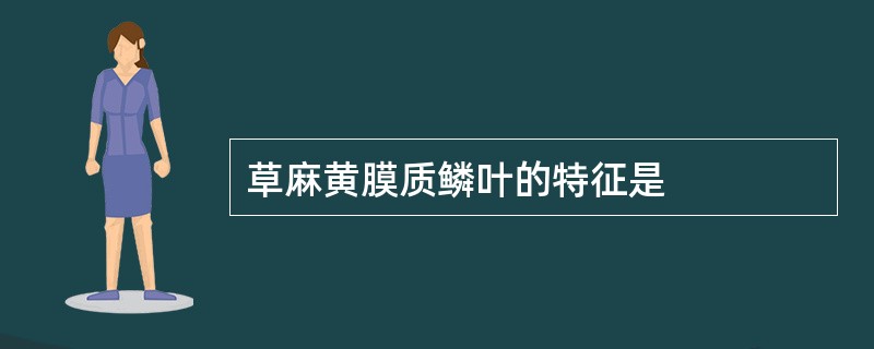 草麻黄膜质鳞叶的特征是