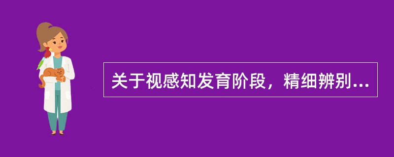 关于视感知发育阶段，精细辨别物体阶段是指