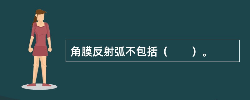 角膜反射弧不包括（　　）。