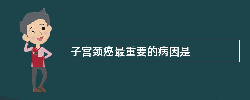 子宫颈癌最重要的病因是