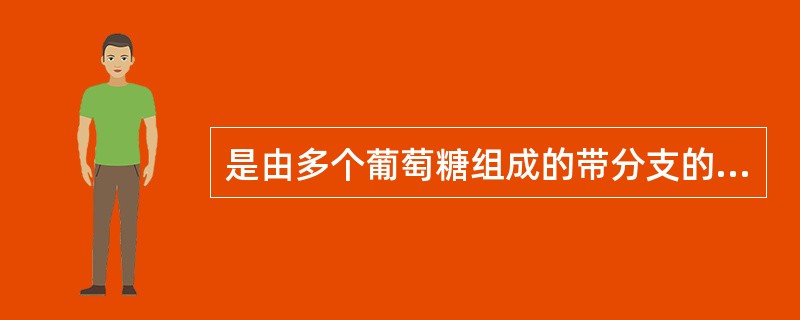 是由多个葡萄糖组成的带分支的大分子多糖