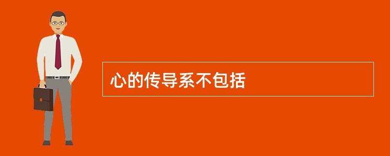 心的传导系不包括
