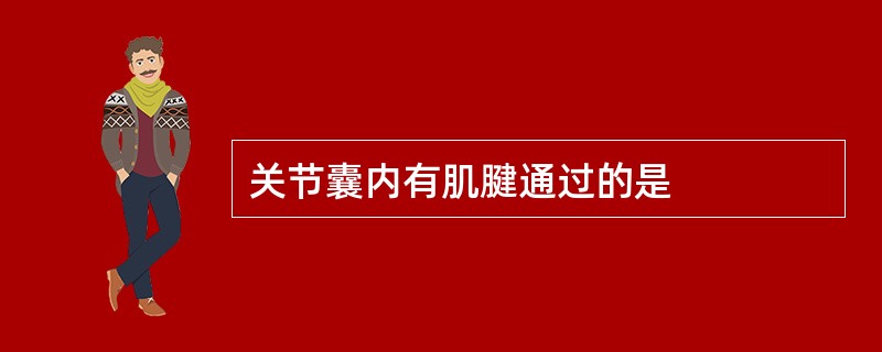 关节囊内有肌腱通过的是