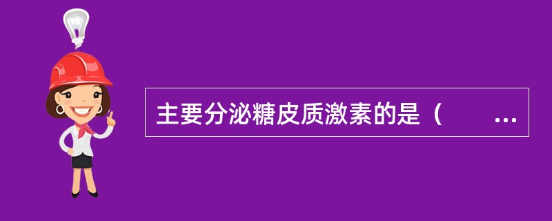 主要分泌糖皮质激素的是（　　）。