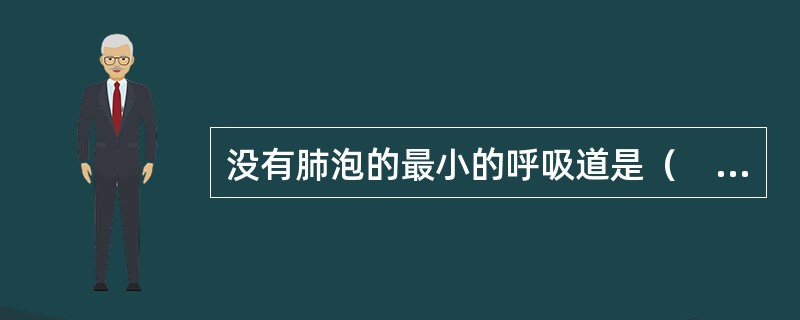 没有肺泡的最小的呼吸道是（　　）。