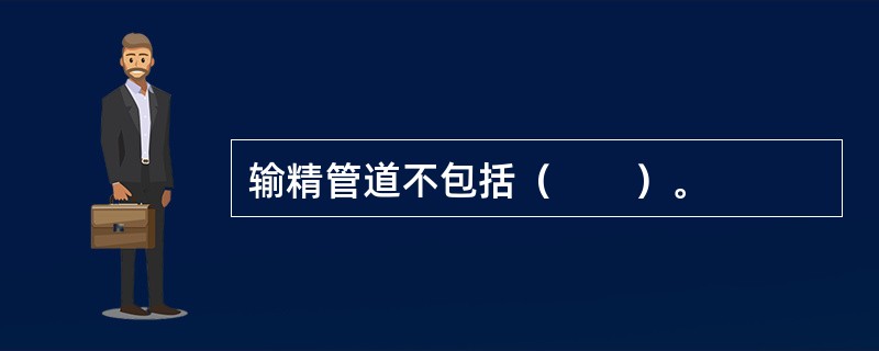 输精管道不包括（　　）。