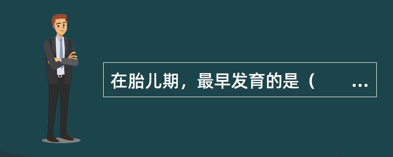 在胎儿期，最早发育的是（　　）。