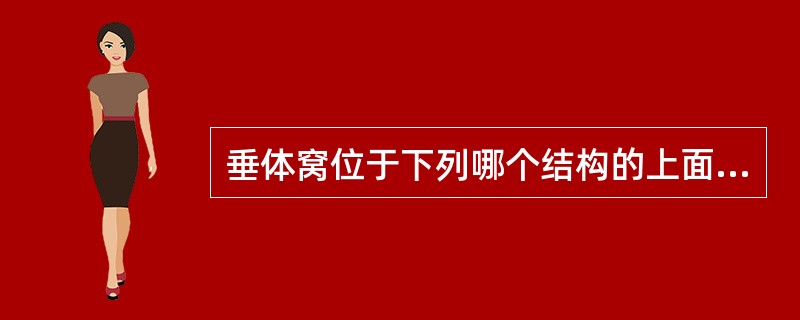 垂体窝位于下列哪个结构的上面？（　　）