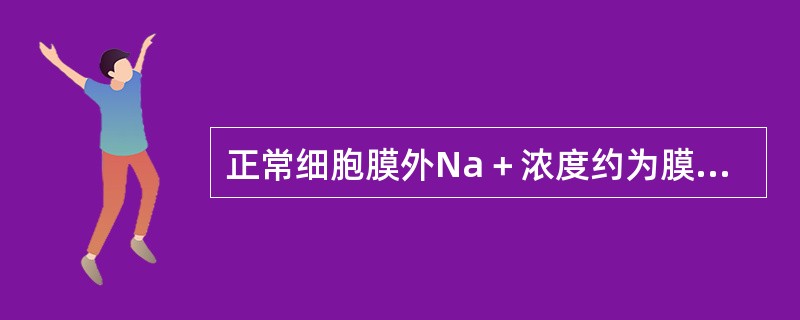 正常细胞膜外Na＋浓度约为膜内Na＋浓度的（　）。