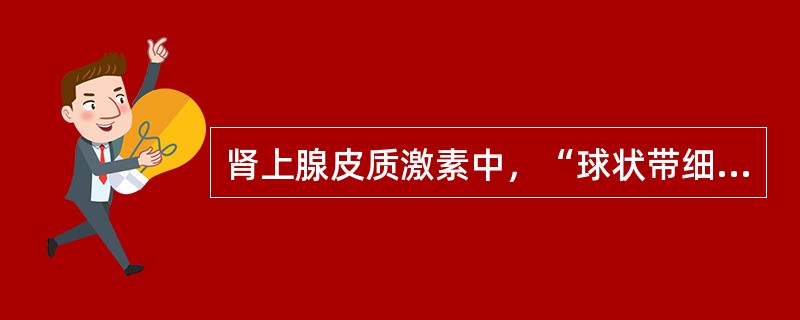 肾上腺皮质激素中，“球状带细胞分泌，主要是醛固酮”属于（　）。