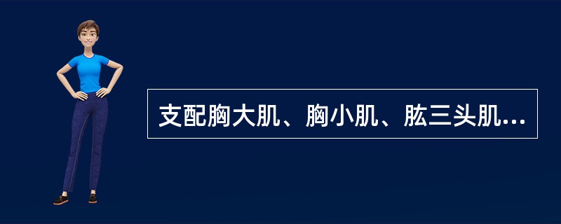 支配胸大肌、胸小肌、肱三头肌和拇指对掌肌的脊神经是（　）。