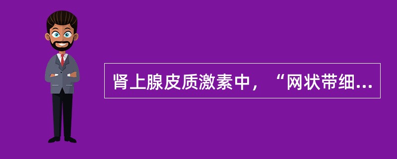 肾上腺皮质激素中，“网状带细胞分泌，如脱氢雄酮和雌二醇”属于（　）。