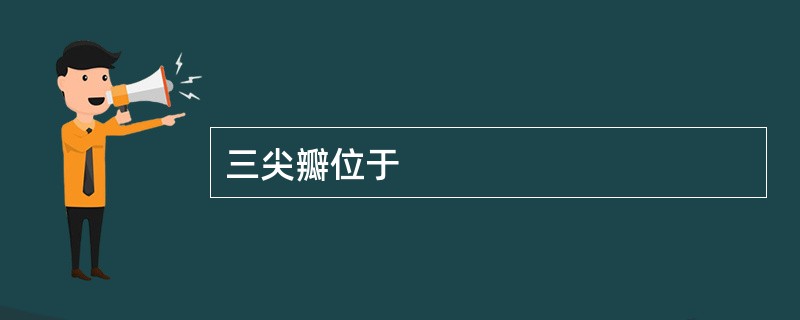 三尖瓣位于