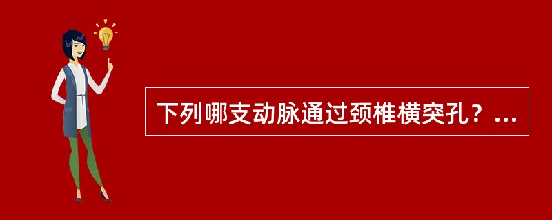 下列哪支动脉通过颈椎横突孔？（　　）