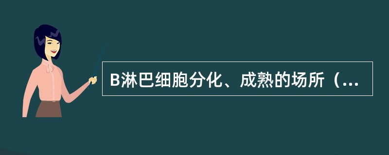 B淋巴细胞分化、成熟的场所（　）。