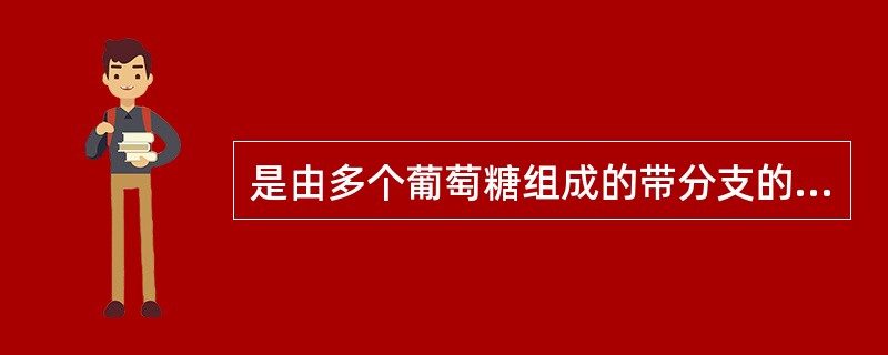 是由多个葡萄糖组成的带分支的大分子多糖（　）。