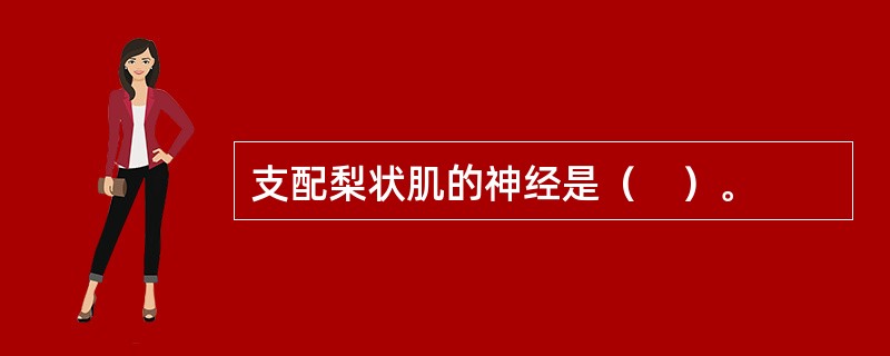 支配梨状肌的神经是（　）。
