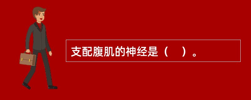 支配腹肌的神经是（　）。