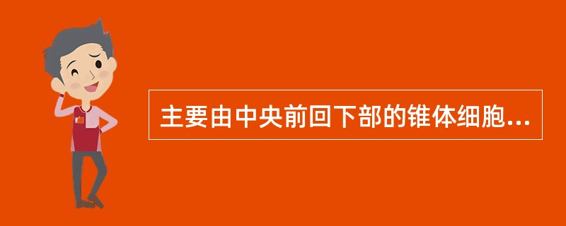 主要由中央前回下部的锥体细胞的轴突集合而成（　）。