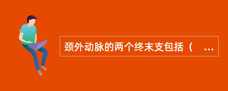 颈外动脉的两个终末支包括（　　）。