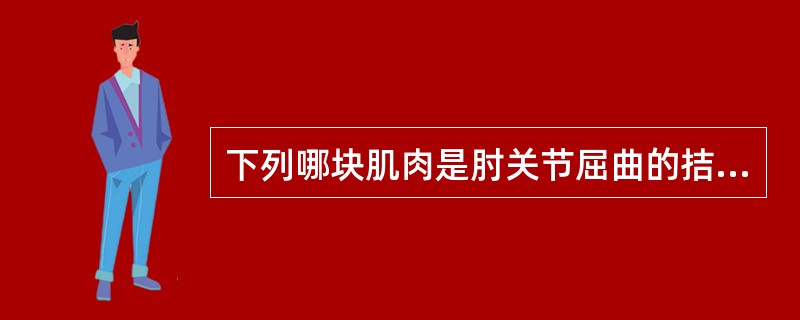 下列哪块肌肉是肘关节屈曲的拮抗肌（　　）。