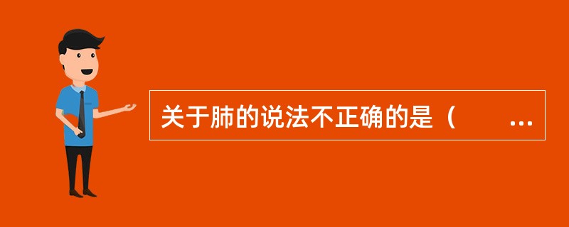 关于肺的说法不正确的是（　　）。