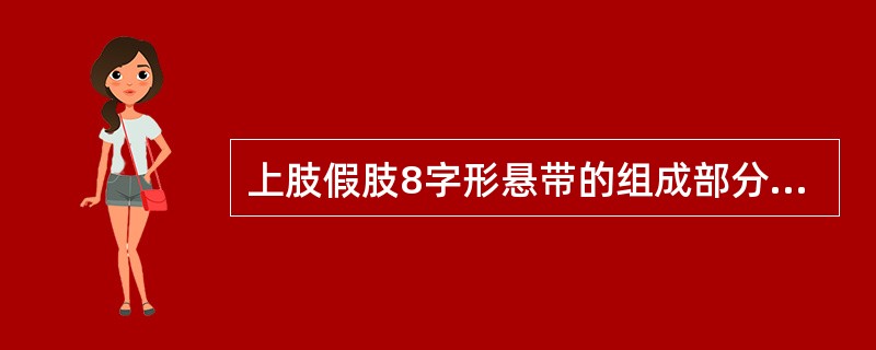 上肢假肢8字形悬带的组成部分不包括（　　）。