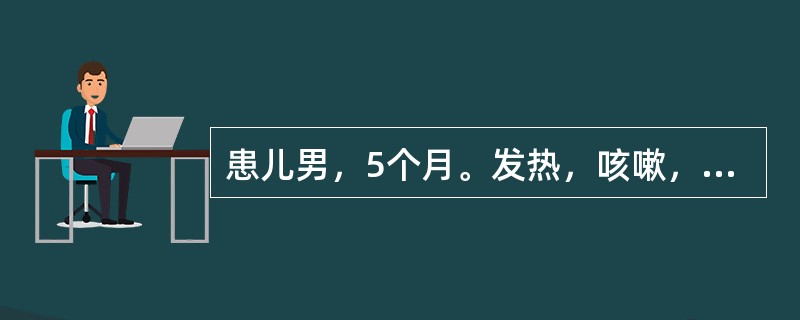 患儿男，5个月。发热，咳嗽，喘憋5天，查体：体温38.1℃。呼吸70次／分，吸气性呼吸困难，伴鼻扇和三凹征，满肺喘鸣音和少许细湿啰音，血WBC6.5×109/L，淋巴细胞占80%，本病诊断最大可能是（