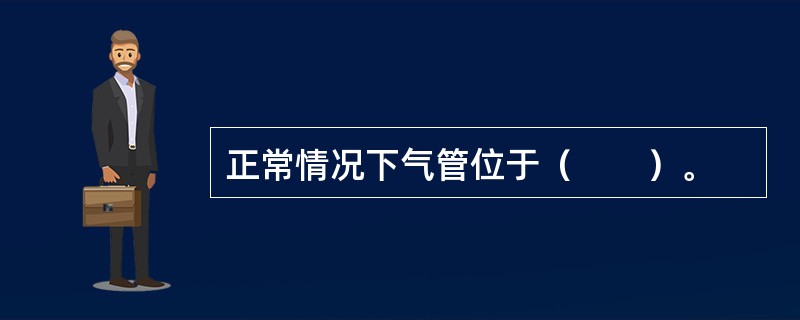 正常情况下气管位于（　　）。 