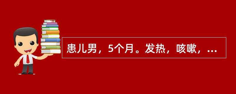 患儿男，5个月。发热，咳嗽，喘憋5天，查体：体温38.1℃。呼吸70次/分，吸气性呼吸困难，伴鼻扇和三凹征，满肺喘鸣音和少许细湿啰音，血WBC 6.5×109/L，淋巴细胞占80%，本病诊断最大可能是