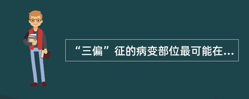 “三偏”征的病变部位最可能在（　　）。