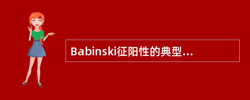 Babinski征阳性的典型表现为（　　）。