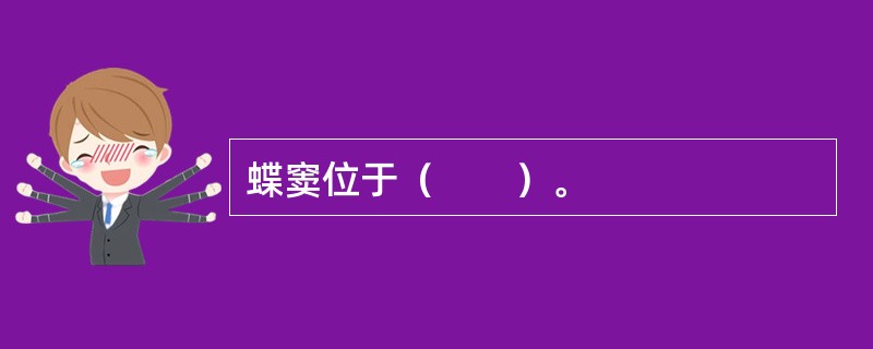 蝶窦位于（　　）。